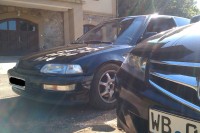 IMAG0380cr.jpg