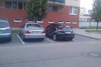 IMAG0435.jpg