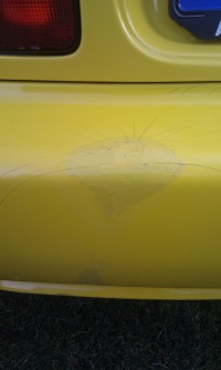 IMAG0497.jpg
