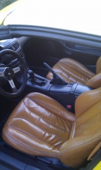 IMAG0513.jpg