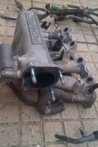 IMAG0536.jpg