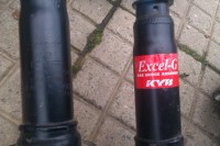 IMAG0538.jpg