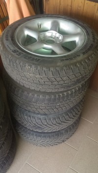IMAG0644.jpg