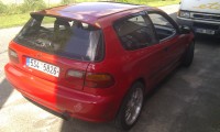 IMAG0652.jpg