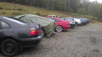 IMAG0718.jpg