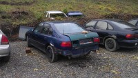 IMAG0719.jpg