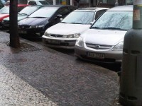 IMG00029-20110113-1340.jpg