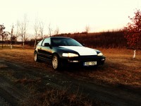 IMG_0218 - Kopie.JPG