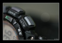+IMG_1540+.jpg