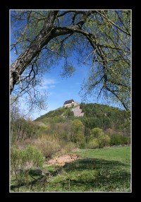 +IMG_1623+.jpg