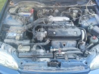 IMG_20120909_182119.jpg