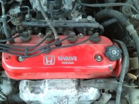 IMG_20130507_140714.jpg