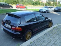 IMG_20130831_114046.jpg