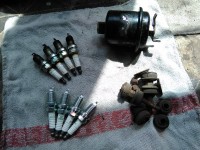 IMG_20160625_122141.jpg