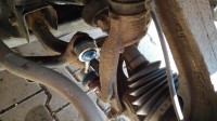 IMG_20160807_102436.jpg