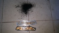 IMG-20170607-WA0038.jpg