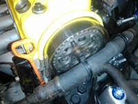 IMG_20170629_160905.jpg