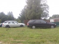 IMG_20170727_142251.jpg