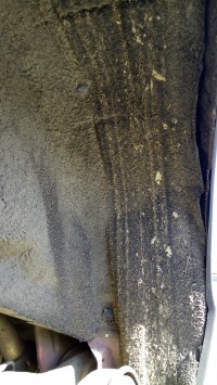 IMG_20180407_121942.jpg
