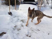 IMG_20190111_100555.jpg