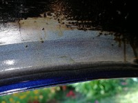 IMG_20190904_165518.jpg