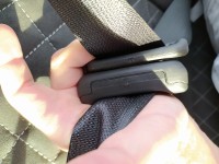 IMG_20201205_105426.jpg