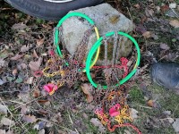 IMG_20210131_102034.jpg