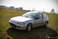 IMG_2139.jpg