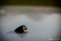 IMG_2155.jpg