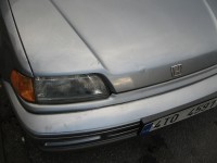 IMG_3464 2.jpg