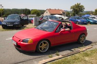 IMG_3705_1.jpg