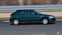 IMG_3921.jpg