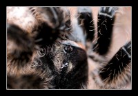 +IMG_4330+.jpg