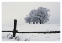 +IMG_5144++.jpg