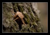 +IMG_5851+.jpg