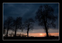 +IMG_5989+.jpg