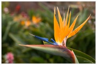 +IMG_7260+.jpg