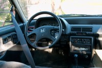 IMG_7695.jpg