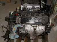IMGP1105.JPG