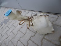 IMGP1113.JPG