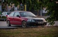 IMGP6390.jpg