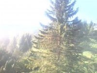 krkonoše126[1].jpg
