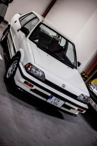 MUL_8441-.jpg