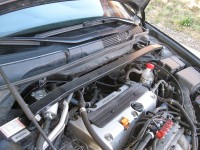 New_Picture 005.jpg