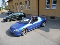 P1000599mini.jpg