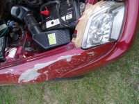P1010018.JPG