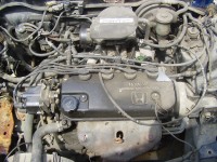 P6210131.JPG