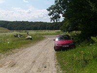 PICT0075.JPG
