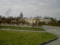 PICT6261.JPG