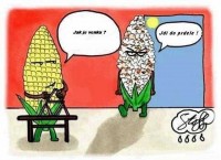 popcorn.jpg